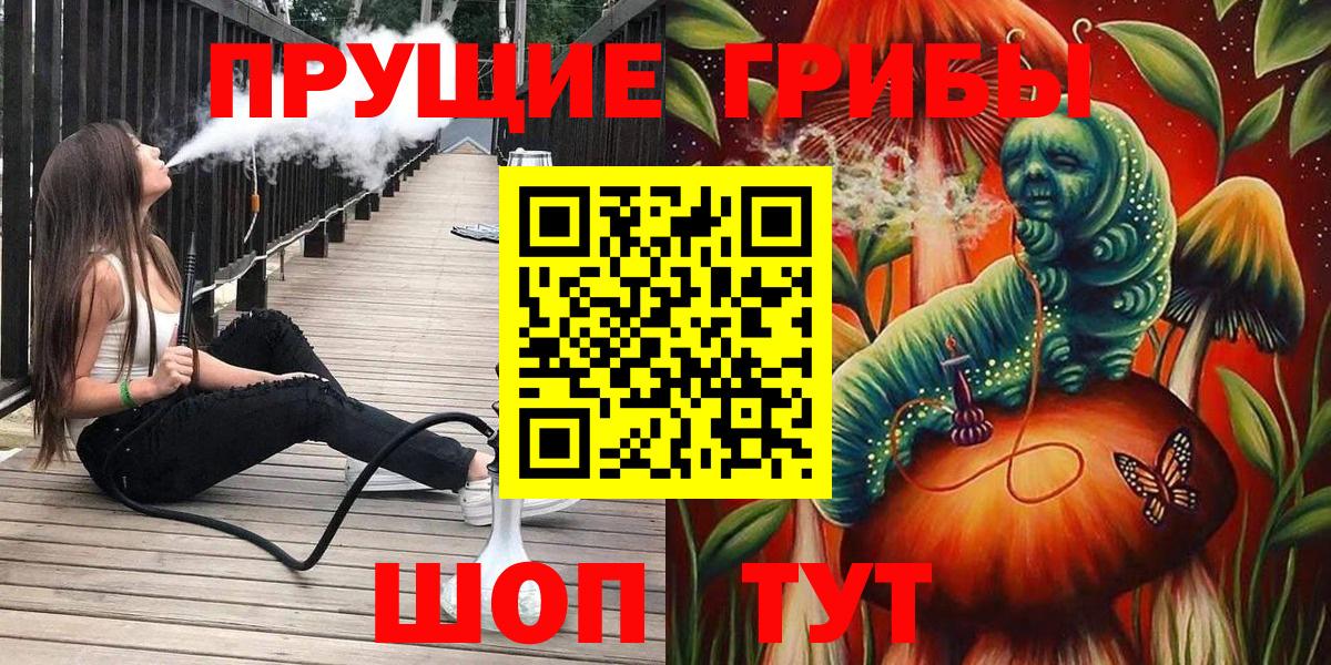 Псилоцибиновые грибы Psilocybine cubensis Астрахань